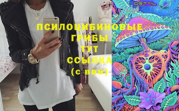 винт Рославль